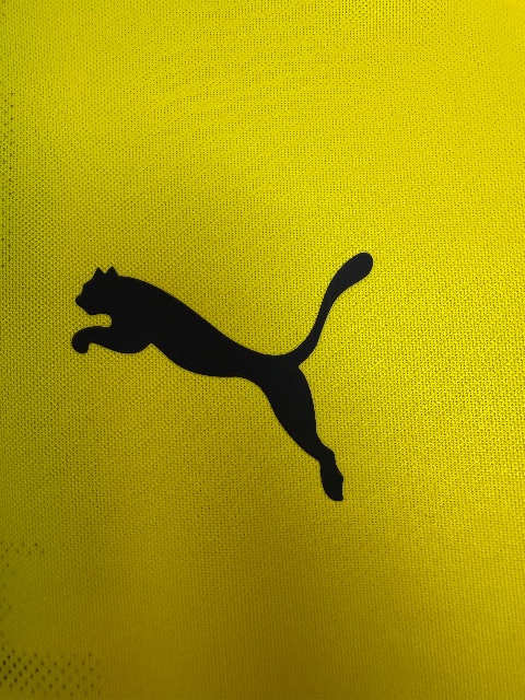 Borussia Dortmund 2017/18 Match Issued Shirt — Christian Pulisic, Size M — sponsor detail