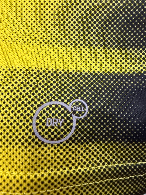 Borussia Dortmund 2017/18 Match Issued Shirt — Christian Pulisic, Size M — match wear detail
